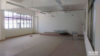 图 南沙金州独院6000方标准厂房出租,带篮球场 广州厂房 仓库 土地
